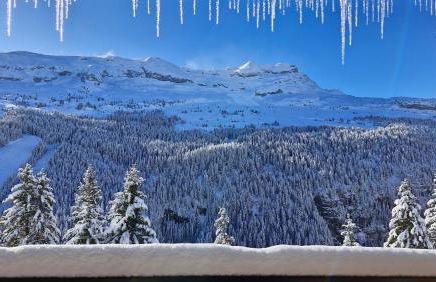 Residence les Pleiades - Foto 1