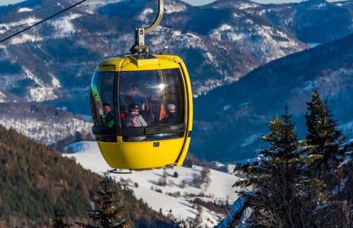 "Chalet H28" mit 4 Schlafzimmer in Todtnau-Muggenbrunn - Foto 32