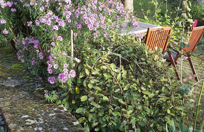 Quaint Apartment in Kaifenheim near Forest - Foto 19