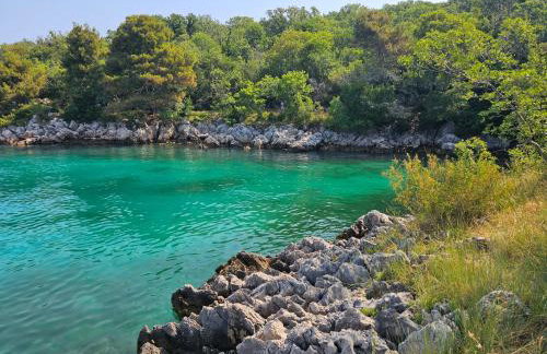 Villa Kučan - Foto 56