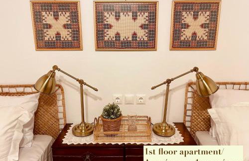Casa Delicosta- 2 Flat Country house with garden, 15 min from Trikala - Foto 39