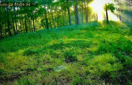 Comfortable one bedroom basement apartment in the woods - Foto 24