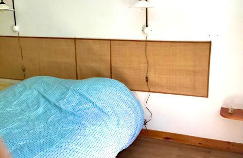 Maison sainte marie de ré - Foto 19