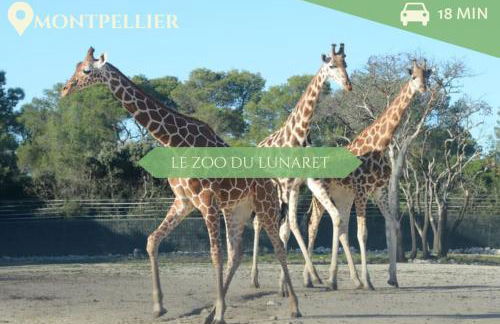 Le T2 Green, 4 pers, clim, piscine, parking - Foto 47