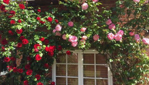 Rose Cottage - Foto 5