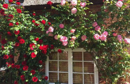 Rose Cottage - Foto 5