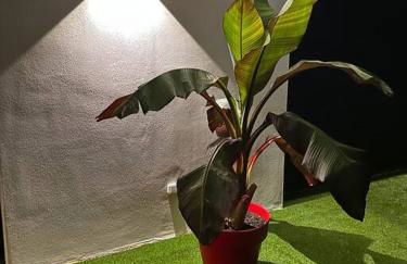 Villa Catalya moderne piscine chauffée - Foto 29