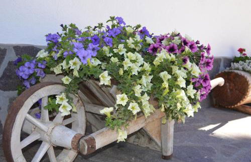 Agriturismo Anví - Photo 30