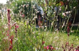 B&B Hestia's Hideaway - Foto 24