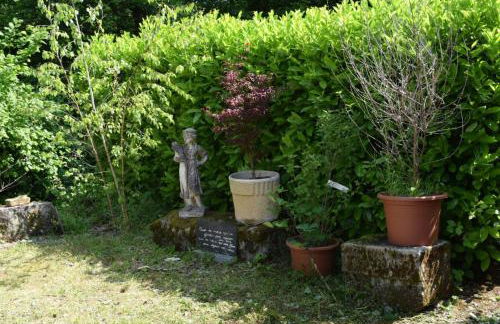 Domaine Du Charme - Meublé T2 - Foto 7