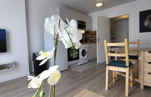 Studio cosy à 5 minutes de DISNEYLAND PARIS - Foto 22