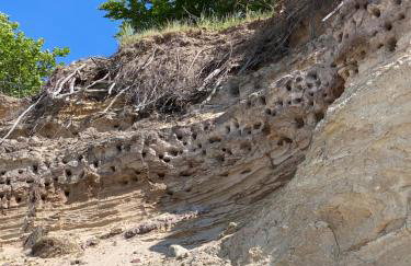 Apartament 14 Nina - Dębina - Foto 41