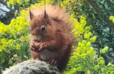 3 The Mews - Photo 8