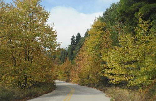 Maria GuestHouse - Foto 35