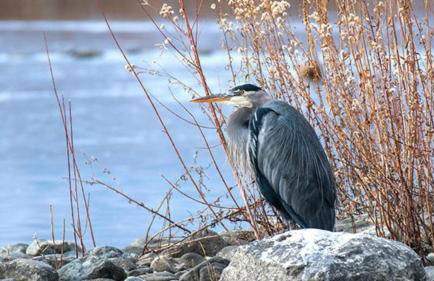 Oceanview Escape at Birch Bay with indoor Pool & Hot Tub - Foto 23
