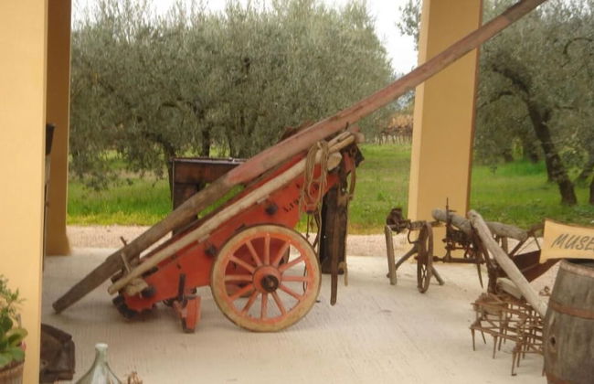 Agriturismo Il Truffarello - Foto 32