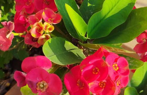 Profumo di Mare 1 - Foto 3