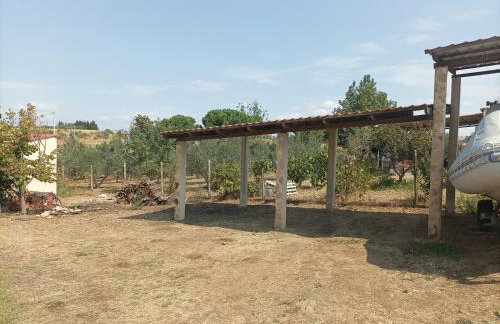 Ελαιώνας και θάλασσα - Foto 9