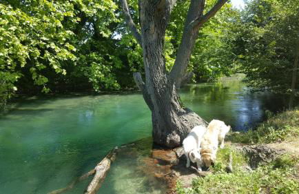 le Mas de la Jardine - Foto 22