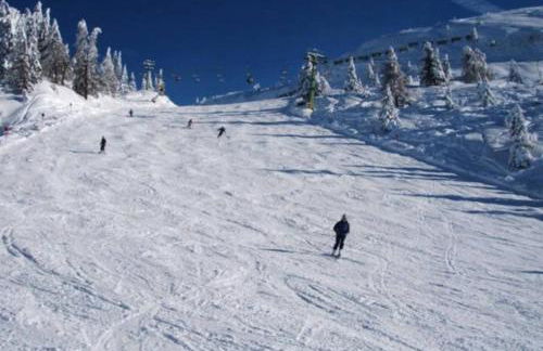 Genzianella Mansarda Molveno-Andalo - Foto 43