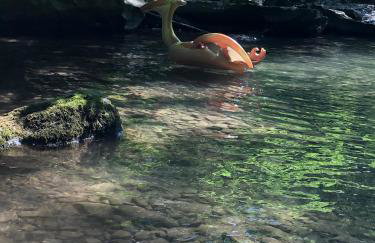 WOODSTOCK HISTORIC ARTIST ESTATE - THE MUSEUM HOUSE - Foto 43