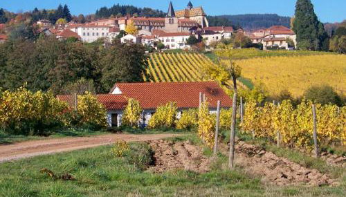 Gîte confortable à la ferme avec terrasse en campagne - FR-1-496-220 - Foto 5