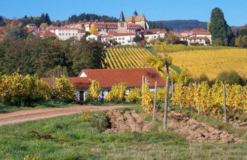 Gîte confortable à la ferme avec terrasse en campagne - FR-1-496-220 - Foto 5