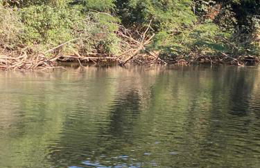 Sítio do Ziquinha - Photo 19