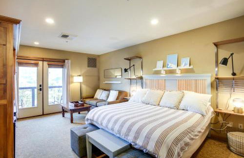 Pet-Friendly Silver Mountain Studio Mountain View - Foto 3