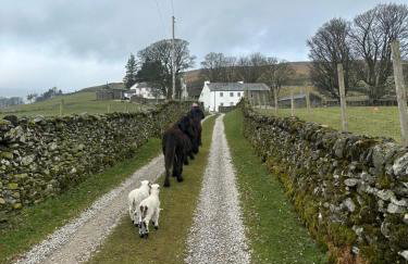 Lower Carhullan - Foto 53