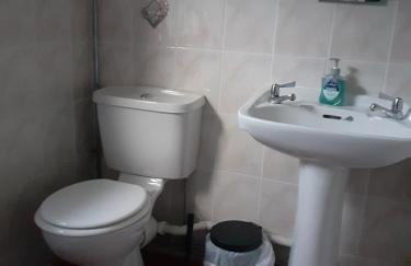 Bryncarnedd Farmhouse - Photo 28