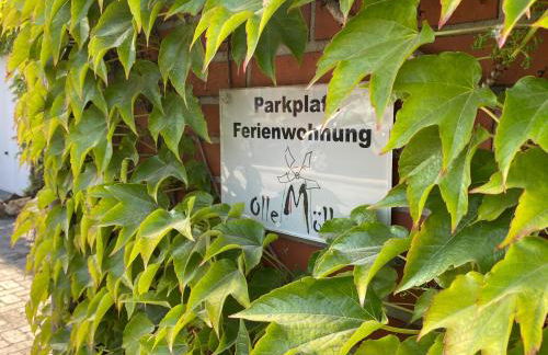 "An der alten Mühle 1" Große Fewo 110 qm, zentral gelegen, zwei Schlafzimmer, Südbalkon, Gartenterrasse & Wallbox - Foto 37