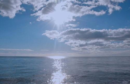 Palazzo Jannoni Holiday - Foto 43