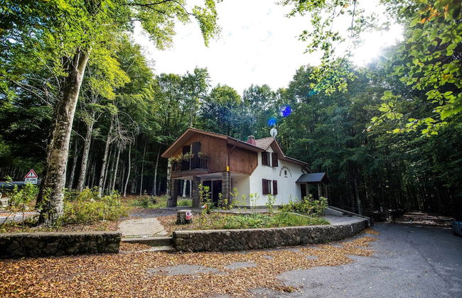 Chalet Il Cristallo - Photo 39