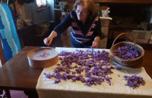 Angolo del Gelsomino - Foto 36