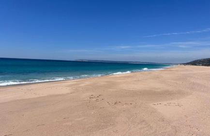 Vitamin Sea - Foto 6