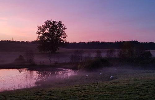 "Dolina szczęścia" Kartkowo - Foto 30