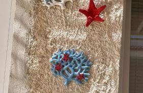 Perla Bianca - Foto 15