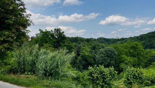 Cascina Il Girasole Rosso - Foto 5