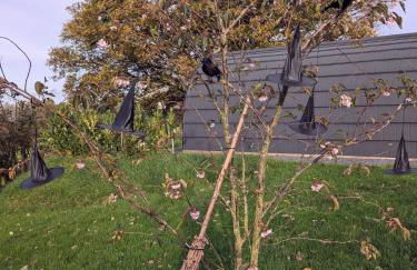 Odli Glamping - Aderyn - Photo 17