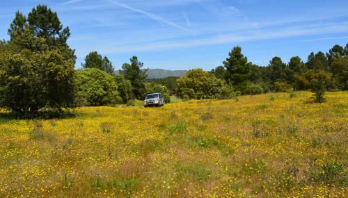 Turismo rural 4QUINTAS - Foto 4