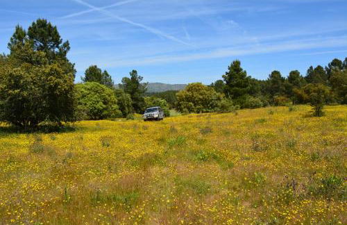 Turismo rural 4QUINTAS - Foto 4