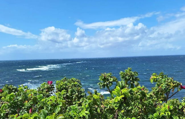 Holiday Home in Kalundborg - Foto 51