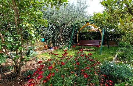 Apartman Mihaela - Photo 3