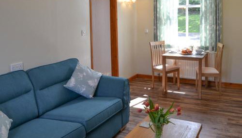 The Waiting Rooms - Foto 3