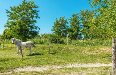 3 Bedroom Nice Home In Plovanija - Foto 43