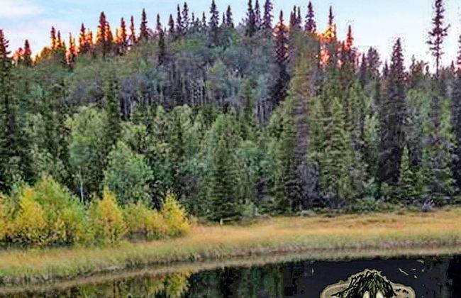 4 Person Holiday Home in Hemsedal - Foto 15