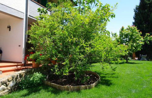 Il Melograno - San Quirico d'Orcia - Foto 6