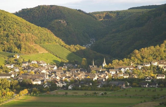 Apartment in Veldenz With Balcony - Foto 30