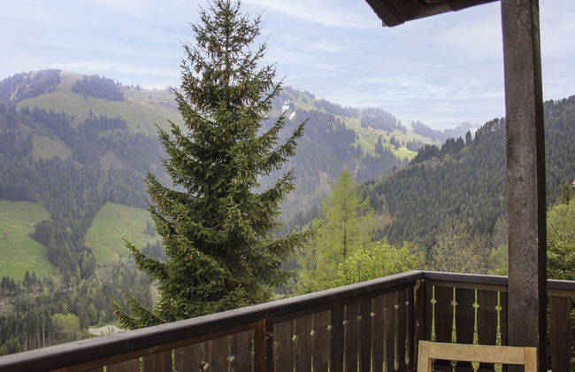 Chalet Les Pitchounes - Foto 13